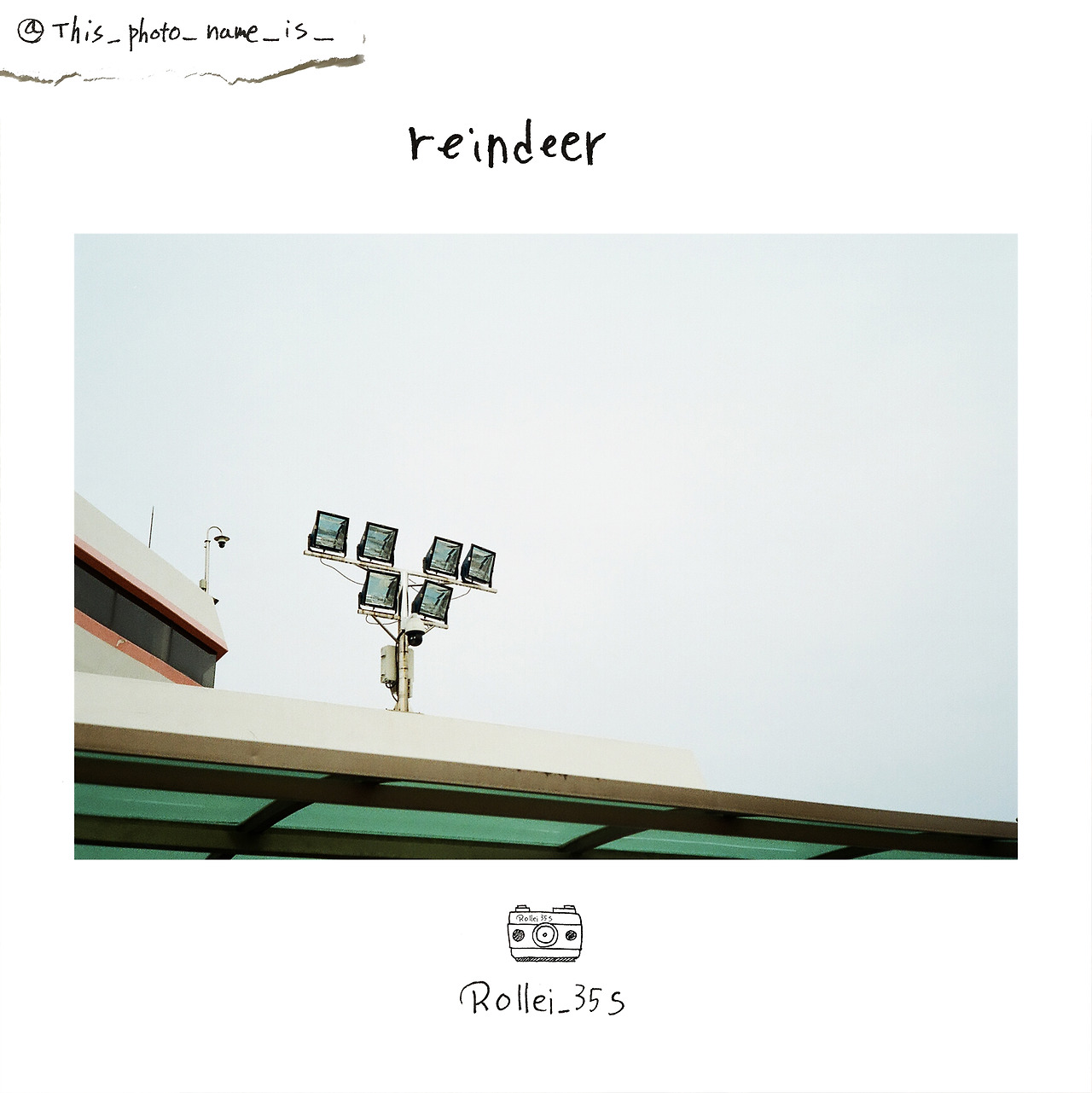 reindeer.jpg