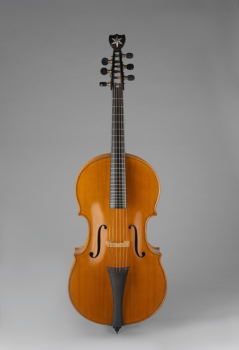 800px-Arpeggione_MET_DP217179.jpg