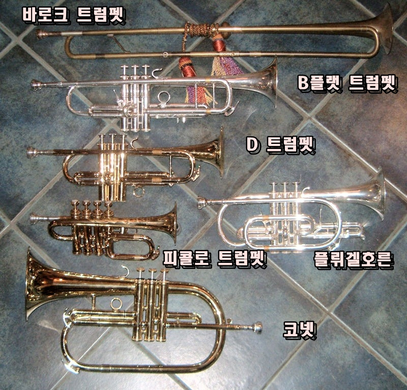 2.트럼펫의 종류.jpg