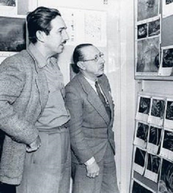 disney stravinsky.jpg