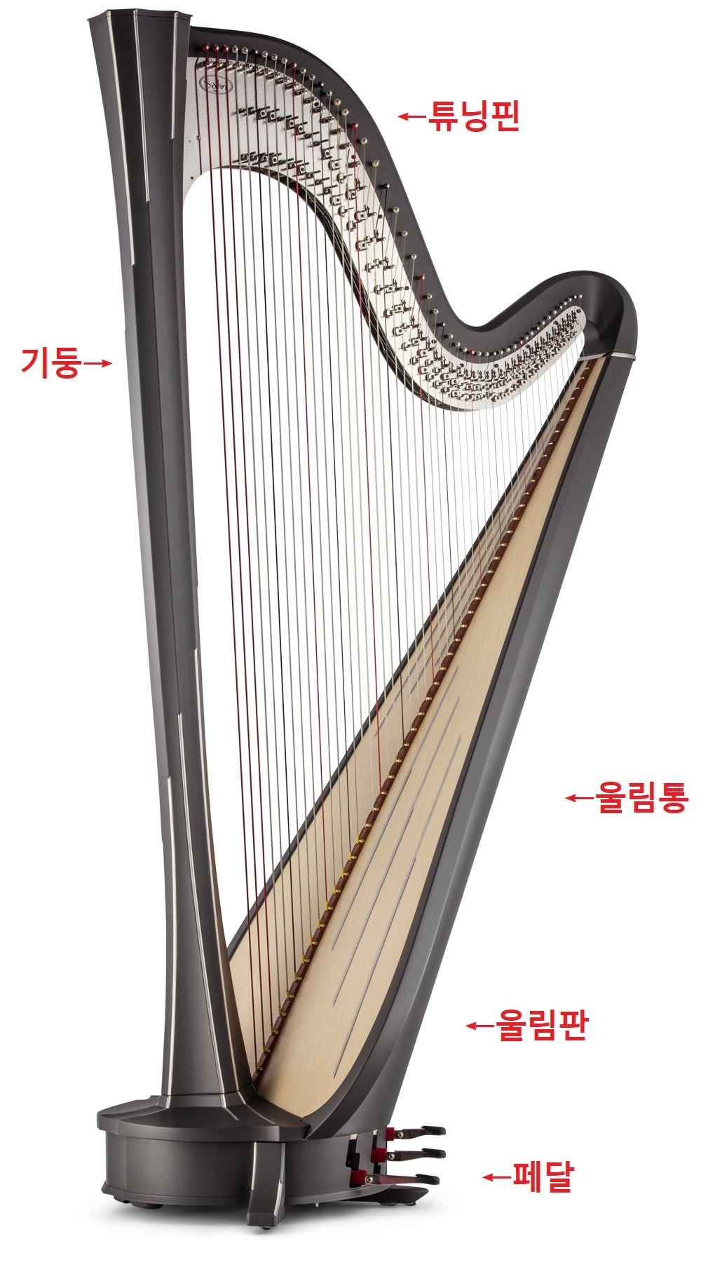 3.하프의 구조.jpg