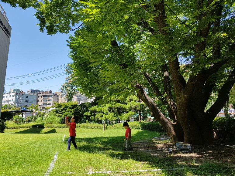 소유_미니멀리즘_minimalism_형재_싸움_다툼 3.jpg