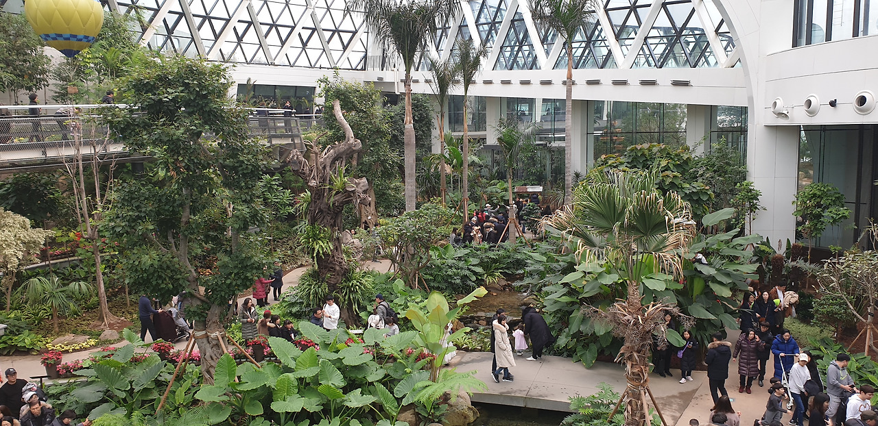 서울식물원_아이들_주말_마곡_놀이 4.jpg