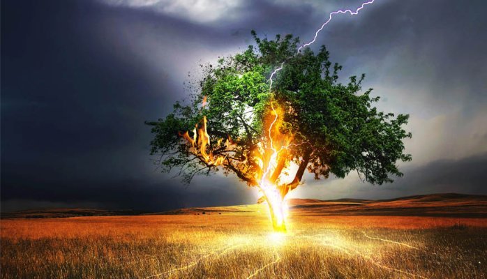 분산_투자_달러_외환_금융_상품_송정목_자산관리 5.jpg