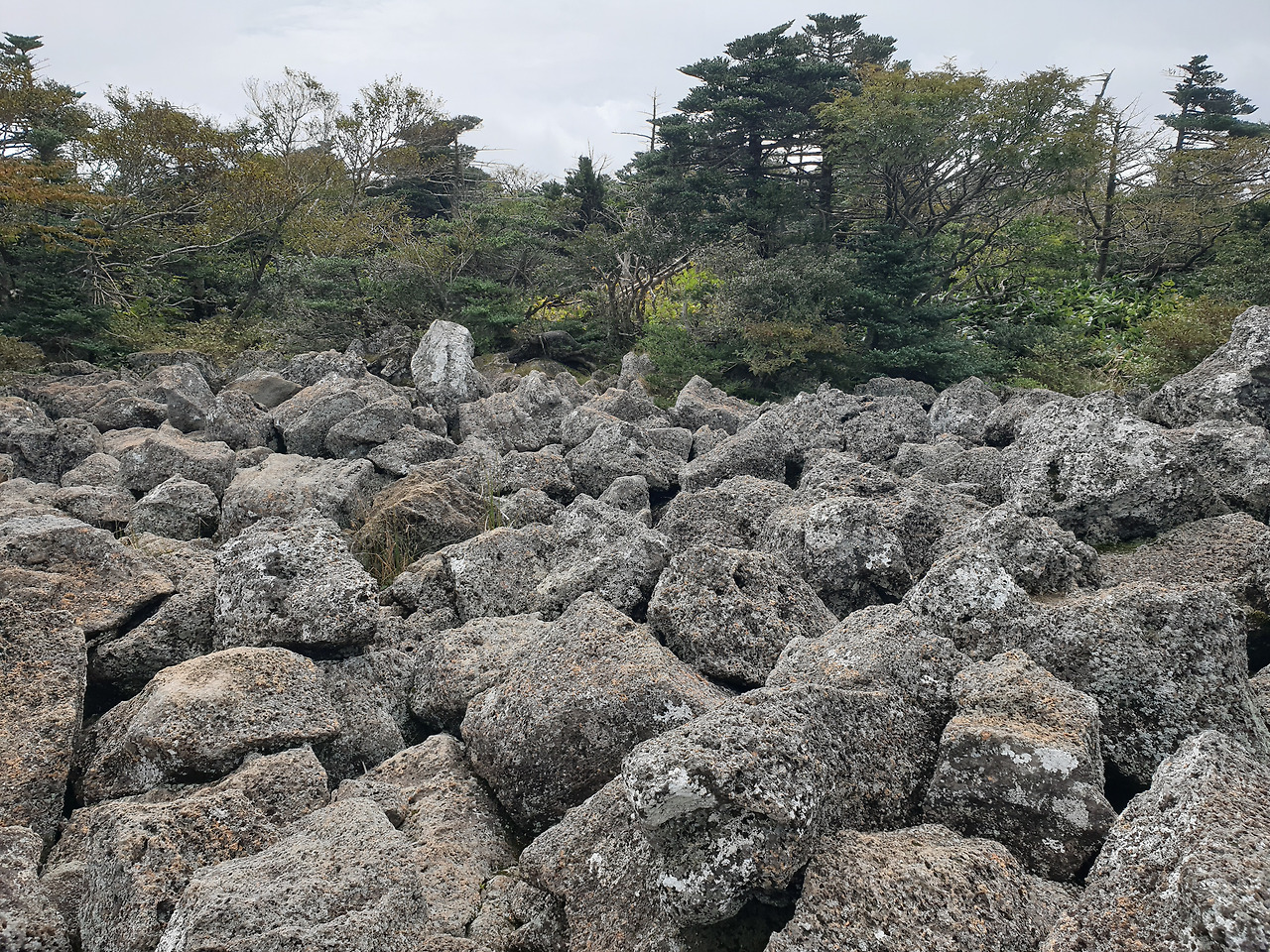 제주도_한라산_당일치기_영실_어리목_등산_등반 12.jpg