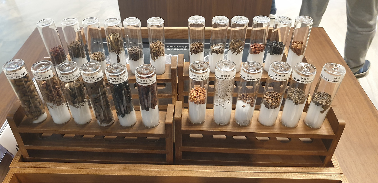 서울식물원_아이들_주말_마곡_놀이 6.jpg