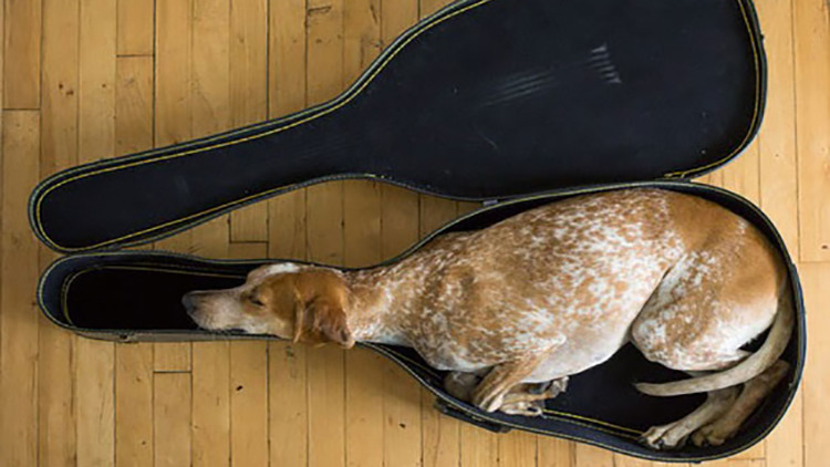 달러_S&P_500_에스앤피_보장_수익보장_연동_송정목_자산관리 3.jpg