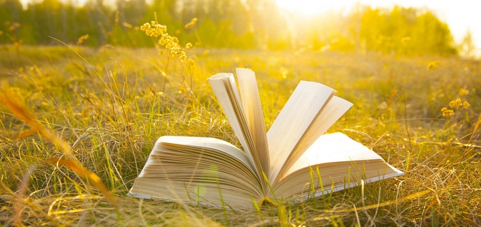 변동성_하락장_상승장_금리인상_주식_글로벌_자산_관리_분산_송정목 5.jpg