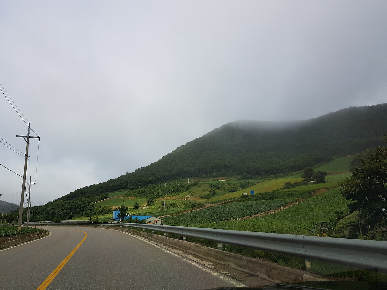 여름_휴가_피서_용평_리조트_대관령 2.jpg