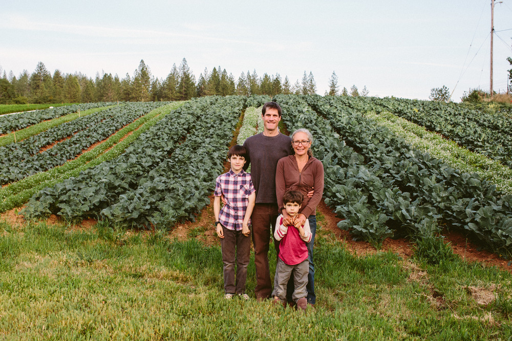 강제저축_보험_장기_해지_중도해지_비과세_저축_송정목_자산관리_덫 3.jpg