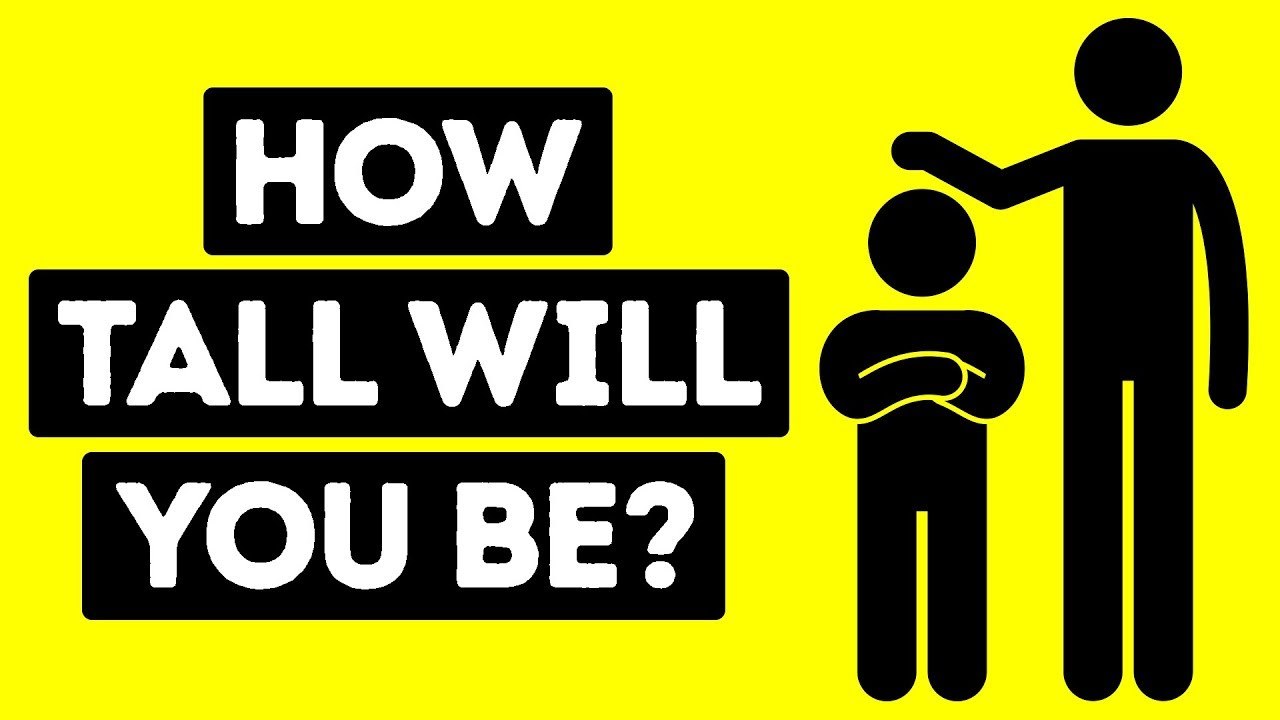 목돈_관리_예금_적금_저금리_저축_보험_추가납입_송정목_자산관리 5.jpg