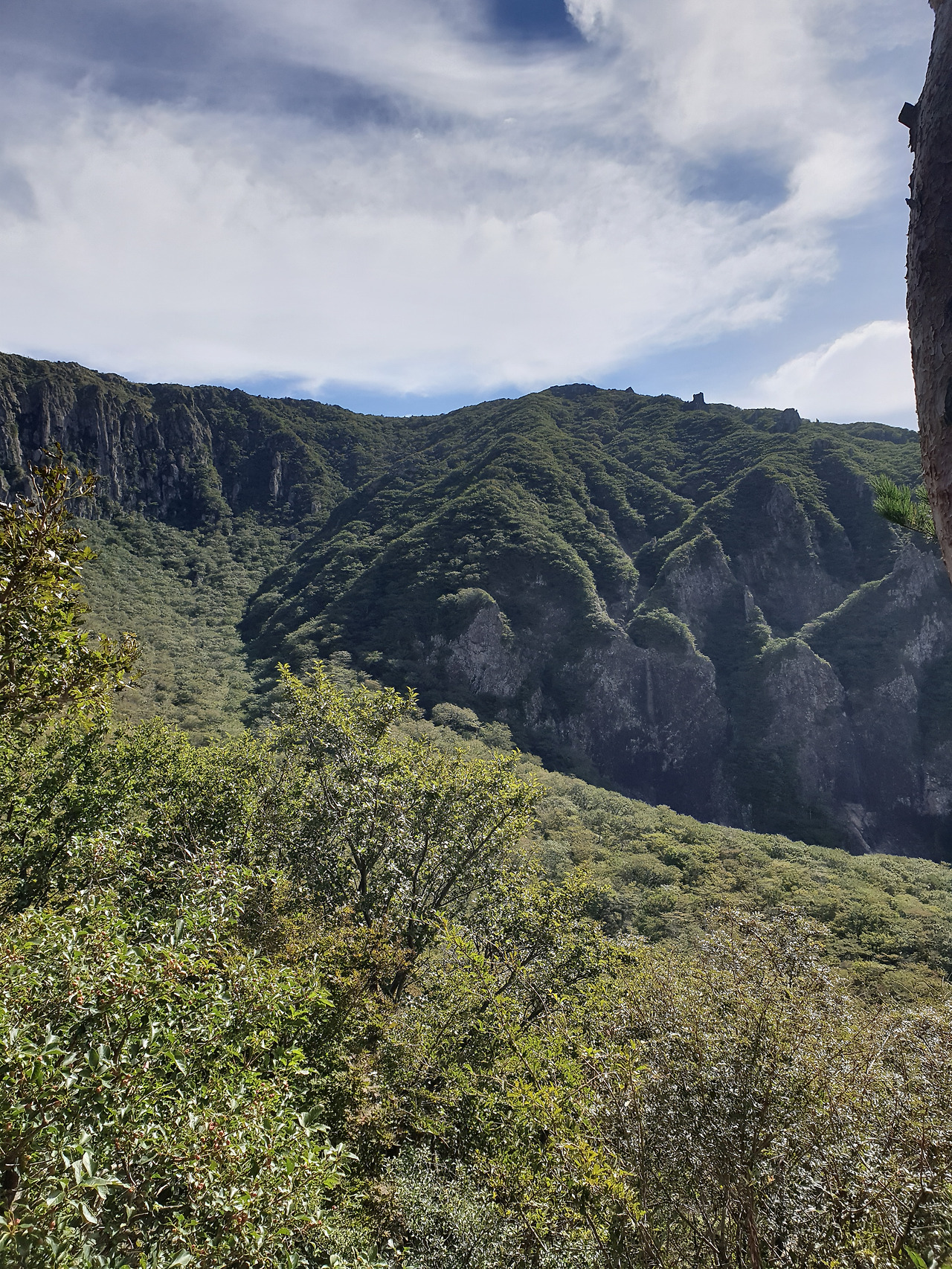 제주도_한라산_당일치기_영실_어리목_등산_등반 8.jpg