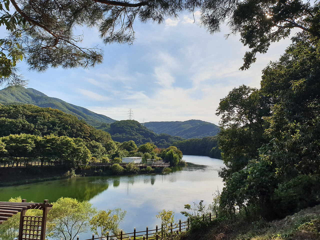 커피_카페_오랑주리_양주_마장호수_출렁다리_자연 (13).jpg