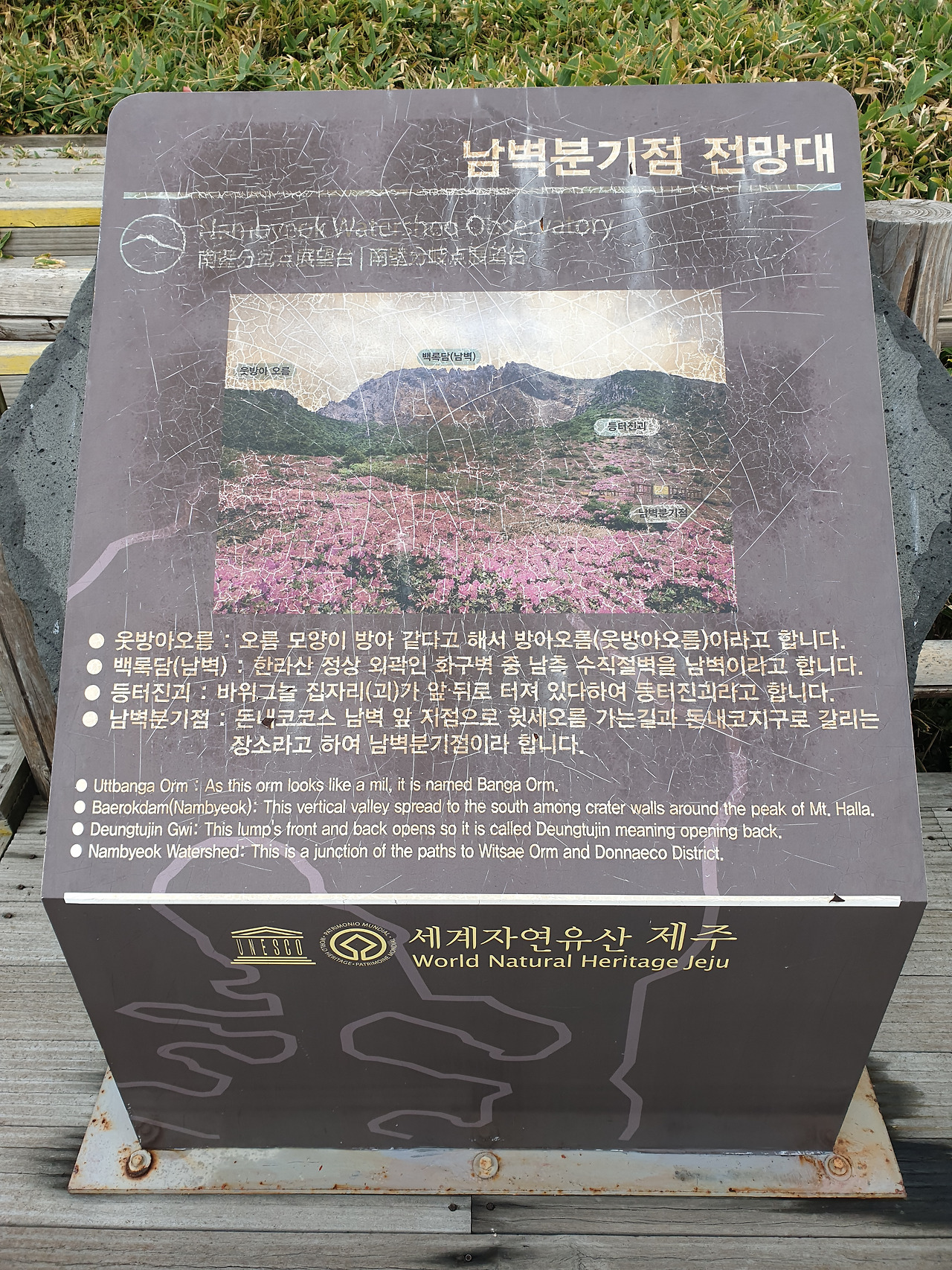 제주도_한라산_당일치기_영실_어리목_등산_등반 19.jpg