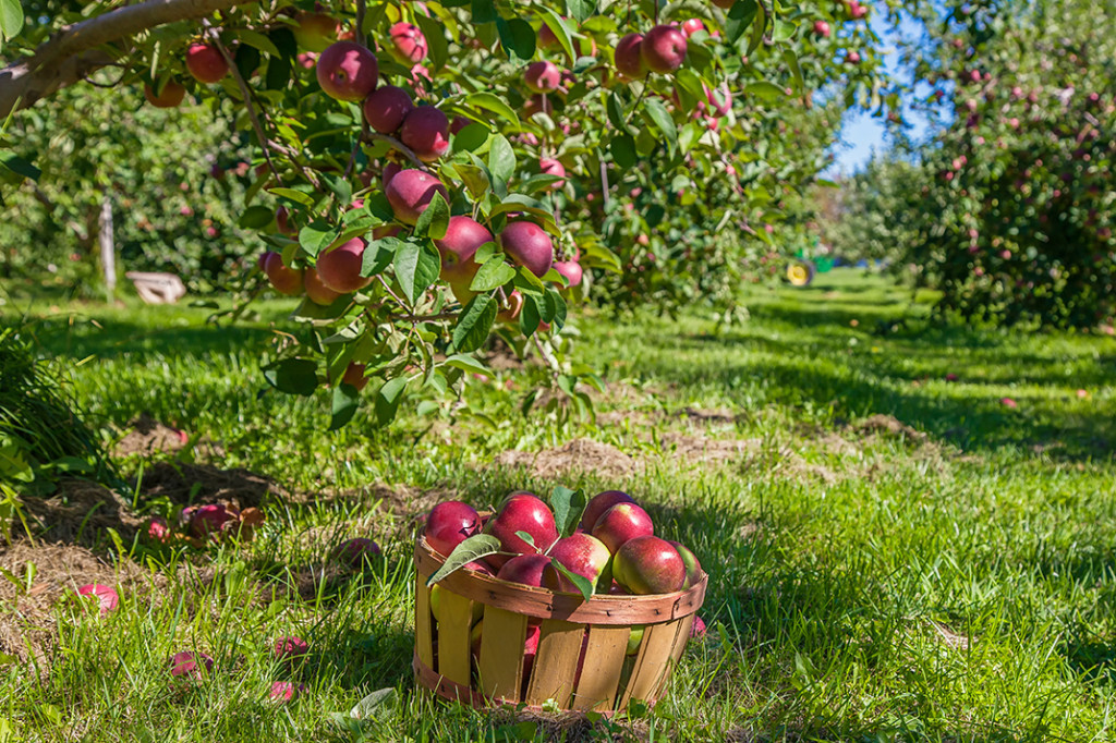 자산관리_정의_농사_장기_수익_이율_장기_송정목 4.jpg