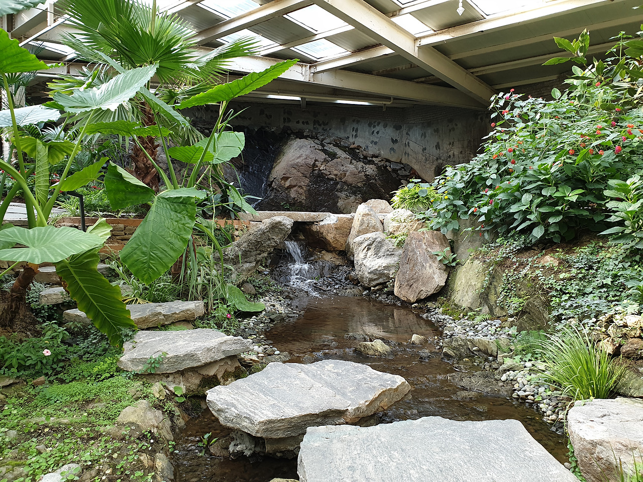 커피_카페_오랑주리_양주_마장호수_출렁다리_자연 (11).jpg