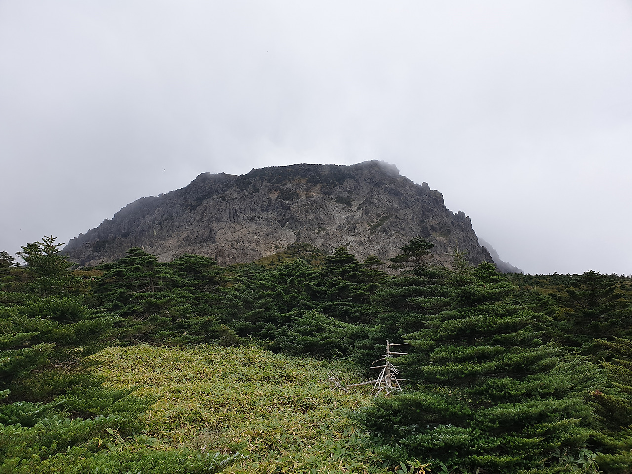 제주도_한라산_당일치기_영실_어리목_등산_등반 20.jpg