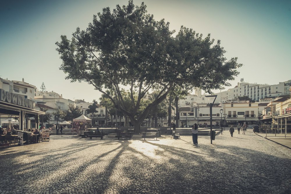 자산관리_삶_하이킹_등산_롤러코스터_멀리_제트보트_인생 6.jpg