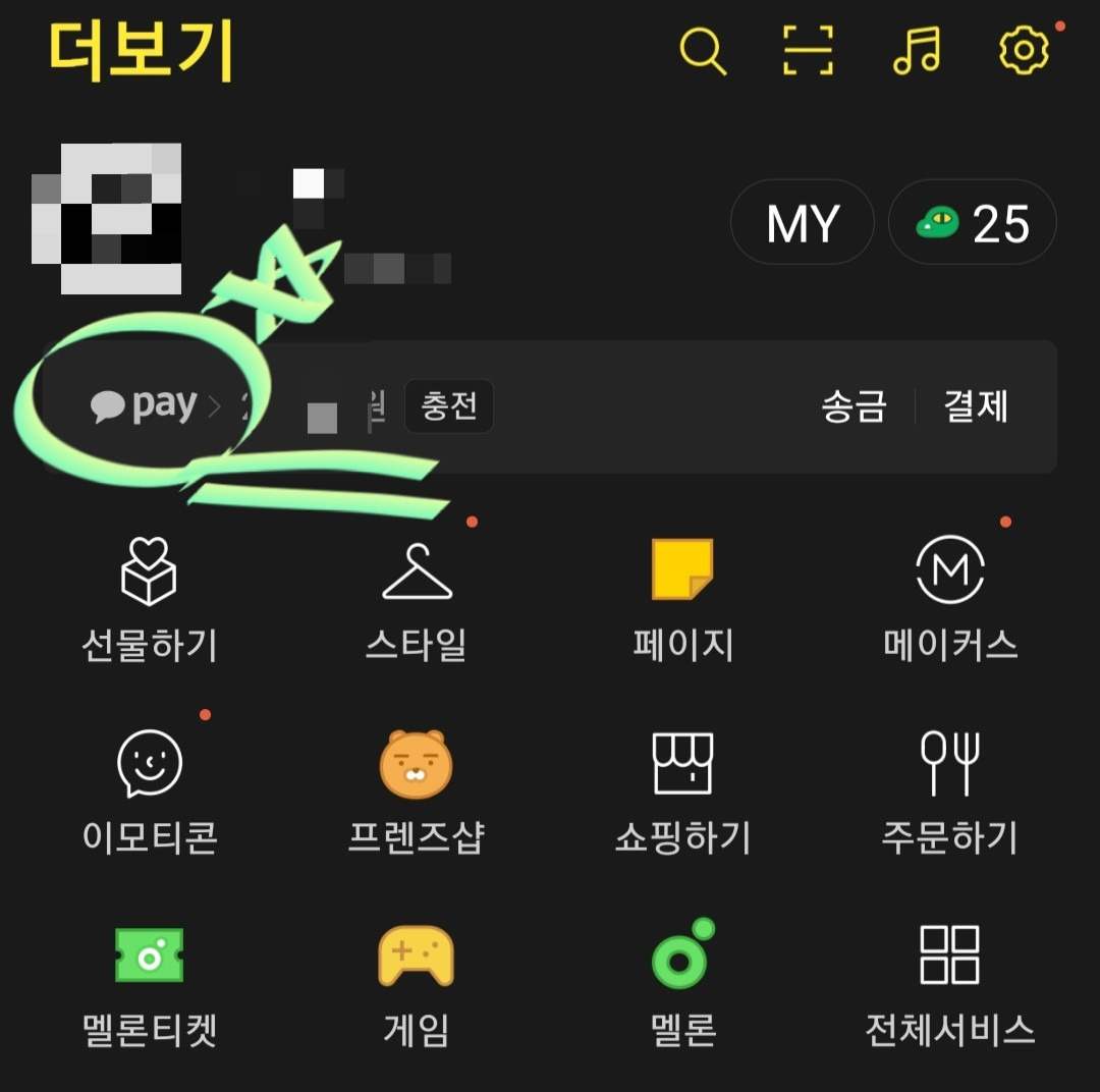 여행자보험_카카오페이_해외여행_청구_여행보험_송정목_자산관리 1.jpg