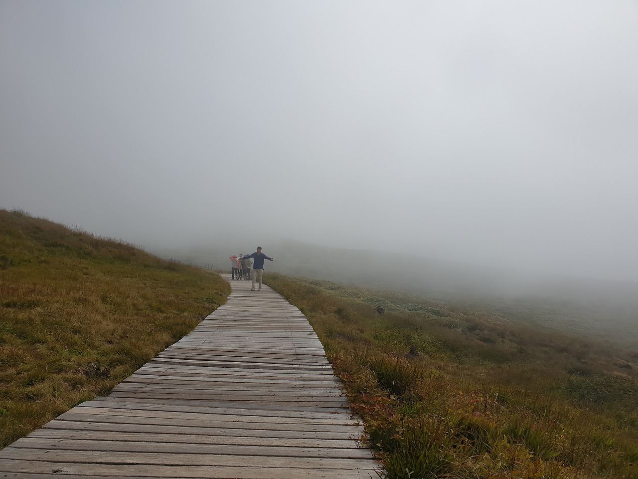 제주도_한라산_당일치기_영실_어리목_등산_등반 15.jpg