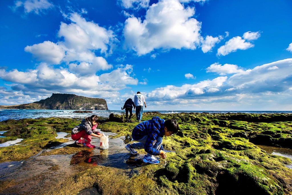 환율_아르헨티나_에버노트_페소_러시아_루블_브라질_헤알_채권_송정목_자산관리_투자 5.jpg