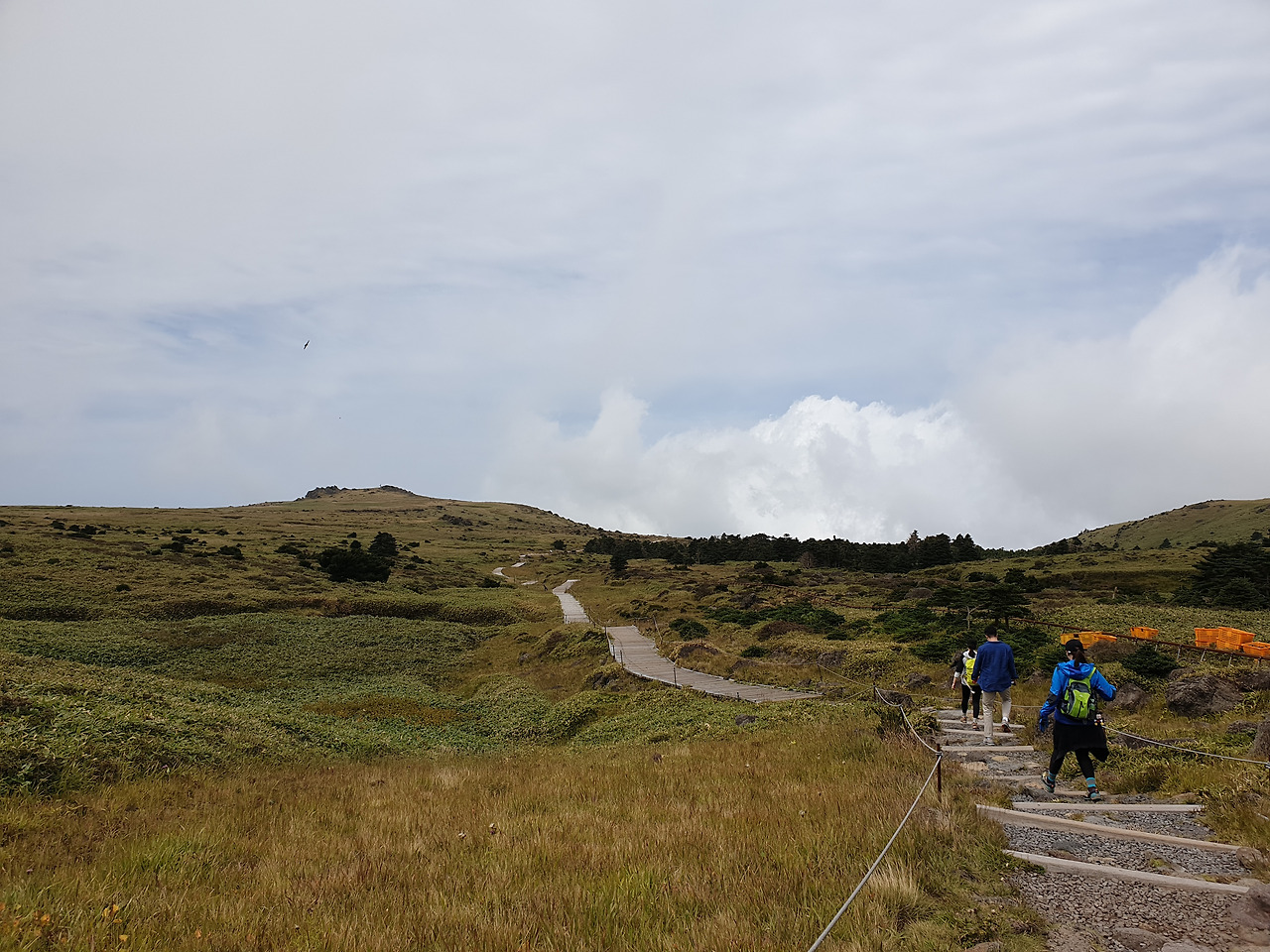 제주도_한라산_당일치기_영실_어리목_등산_등반 21.jpg
