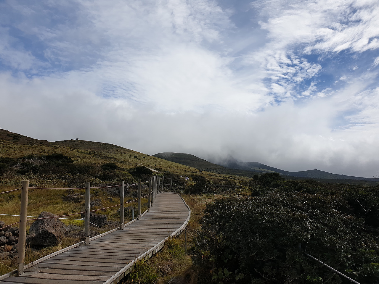 제주도_한라산_당일치기_영실_어리목_등산_등반 14.jpg