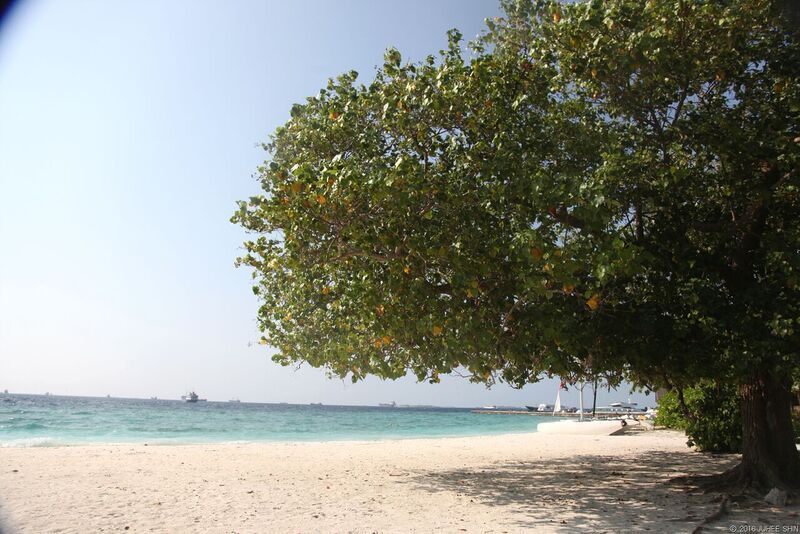 빌링길리 바다 8.jpg