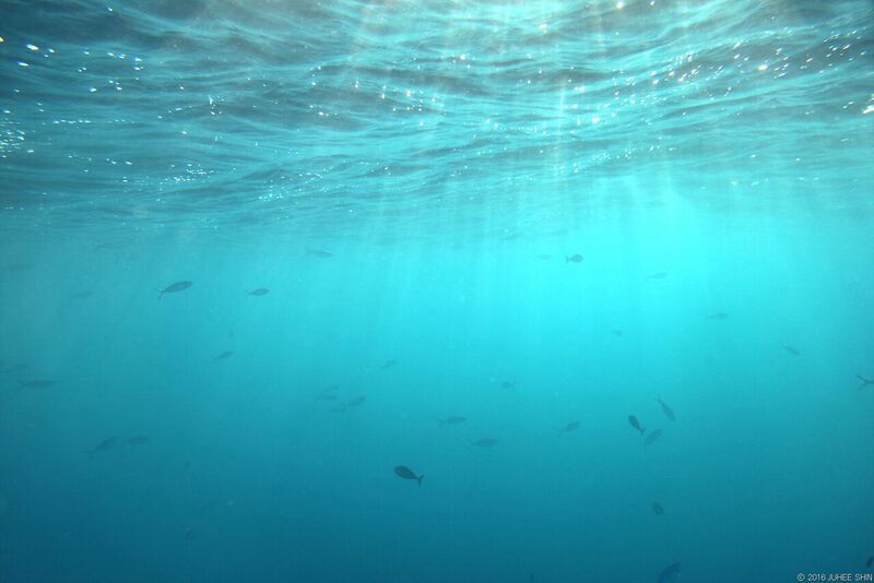 빌링길리 바다 2.jpg