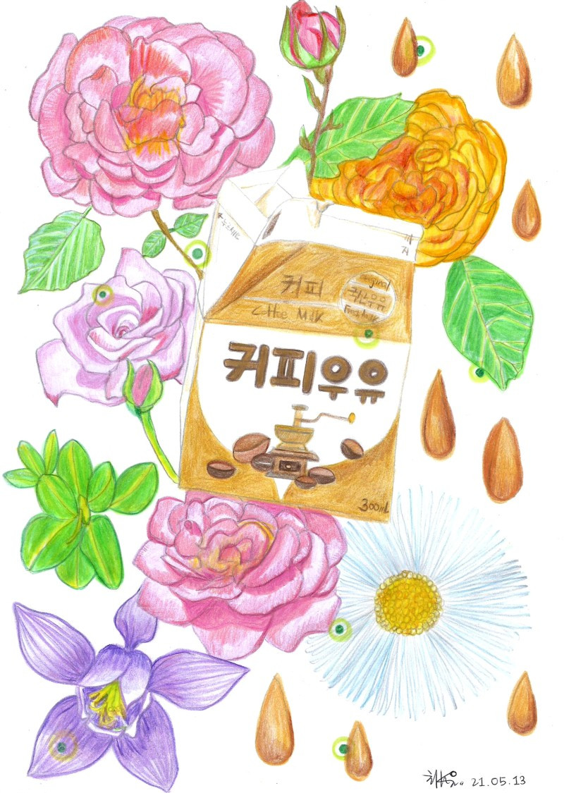 커피 우유 꽃 커피 우유 꽃 