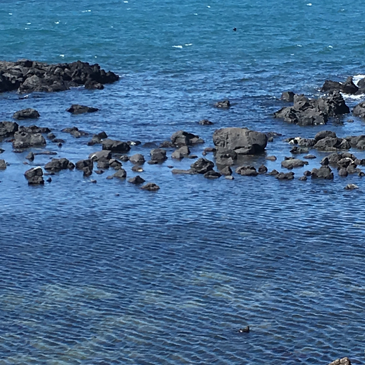 혜원책방 (9).jpg