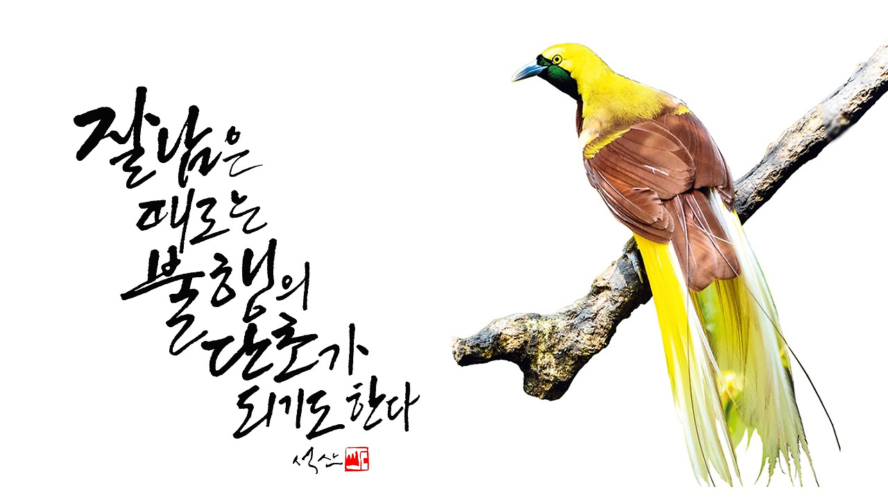 잘남은 때로는 편집본.jpg