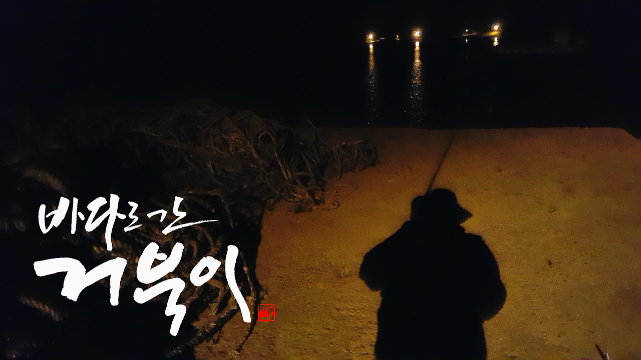 캘리사진 바다로 간 거북이.jpg