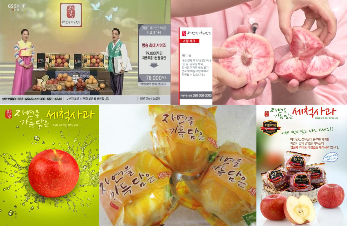 자감담 편집용.jpg