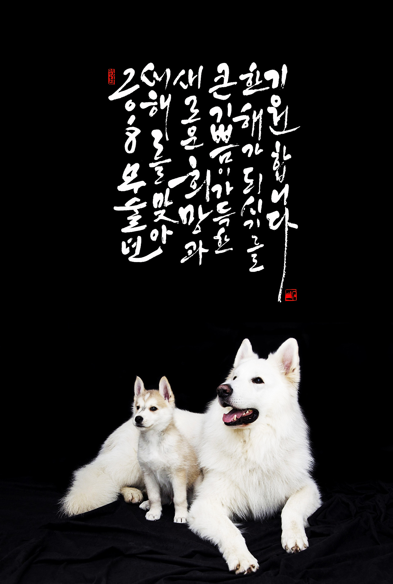 #70 새해 인사.jpg