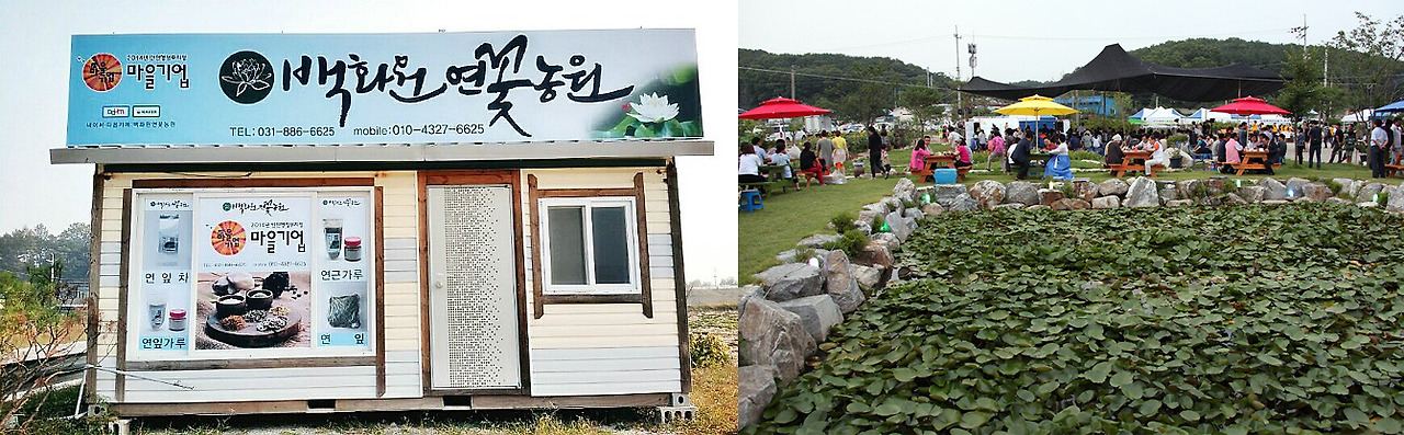 백화원 연꽃농원 dlalwl.jpg