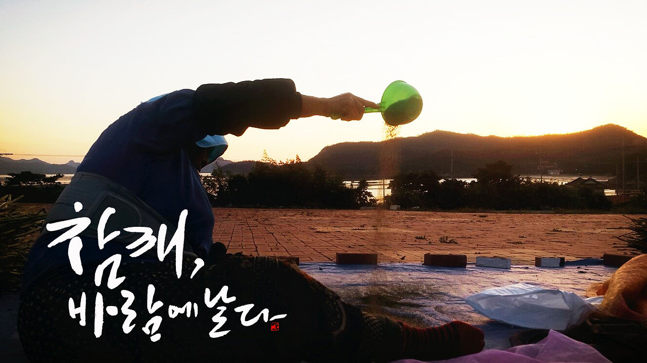 참깨 바람에 날다.jpg