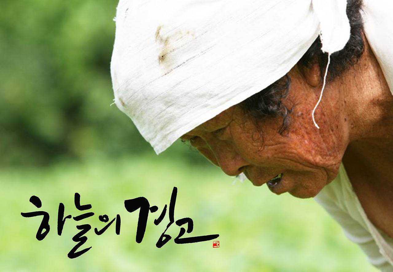 캘리사진 하늘의 경고.jpg