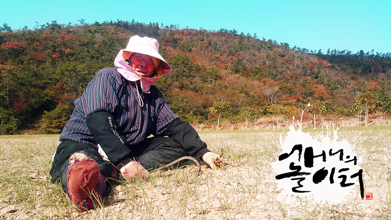 캘리사진 어머니의 놀이터.jpg