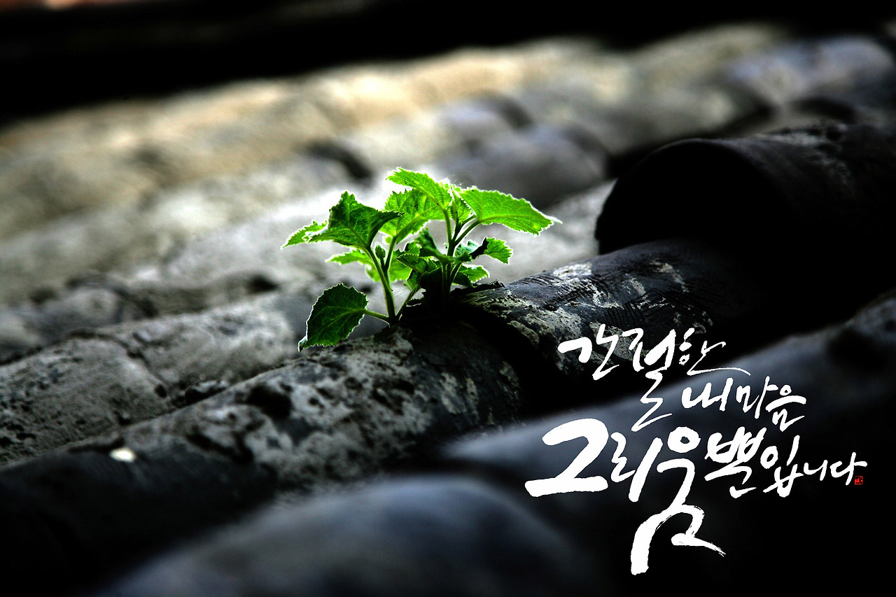 간절한 내마음 그리움뿐입니다.jpg