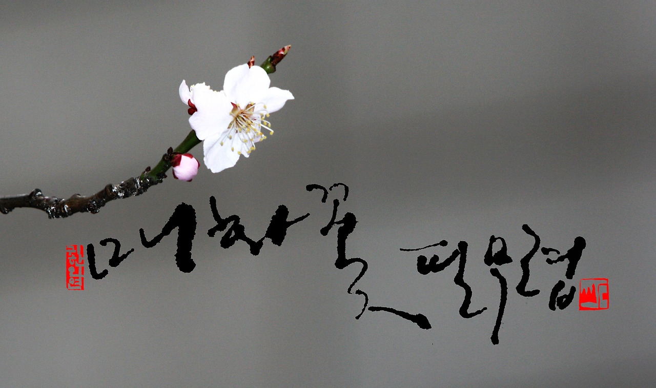 작품명.매화꽃 필무렵 NO7.jpg