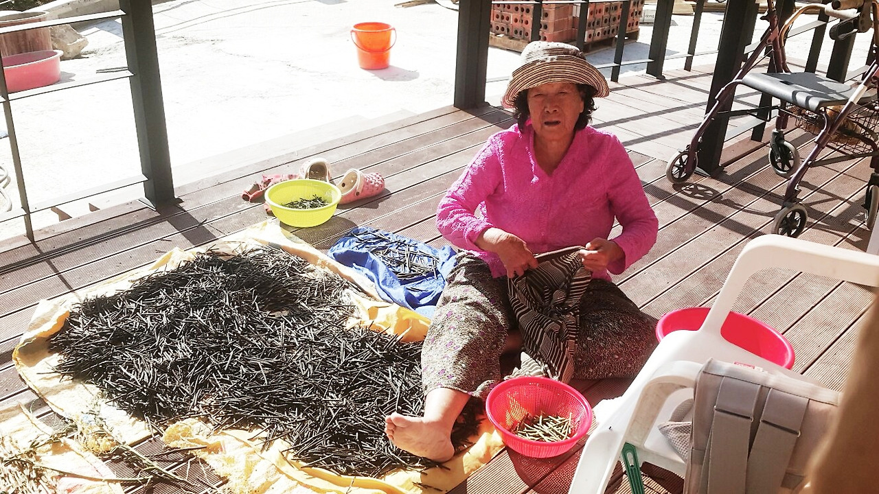 줄무늬 빨간양말2.jpg