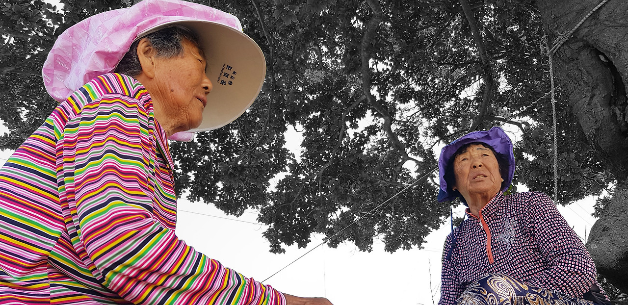 팽나무 마실1.jpg