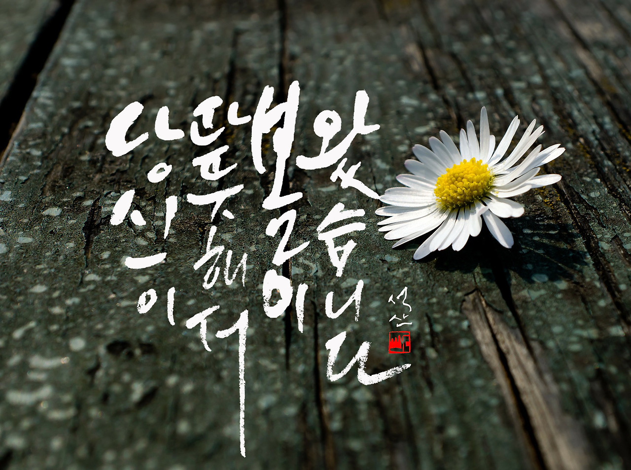 당신이 따뜻해서 봄이 왔습니다NO37.jpg