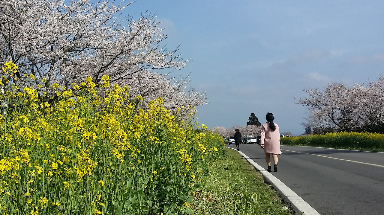 20160402_155004 (2).jpg