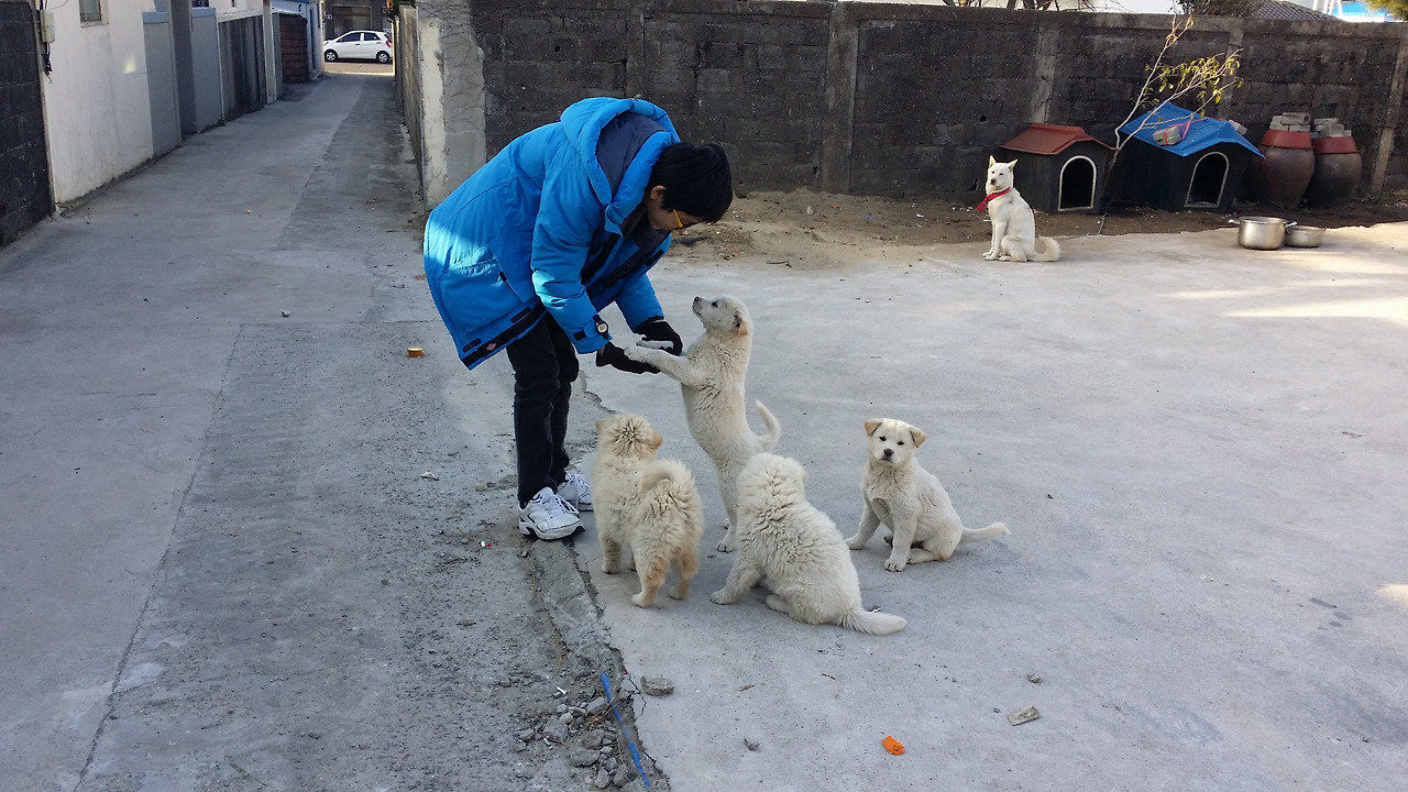 20150111_160324_성산읍.jpg