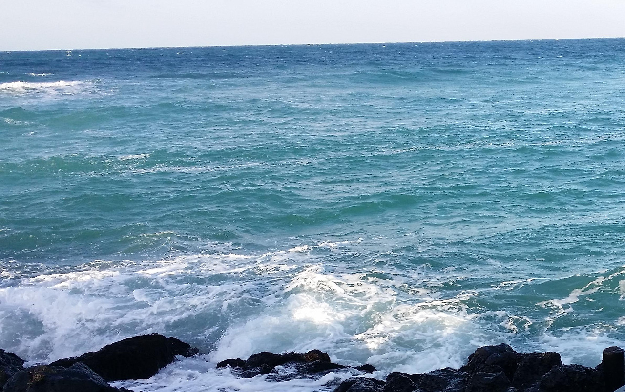 20150117_162716_조천읍 (1).jpg