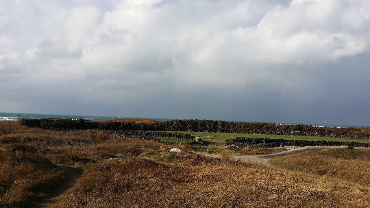 20141206_152449_구좌읍.jpg