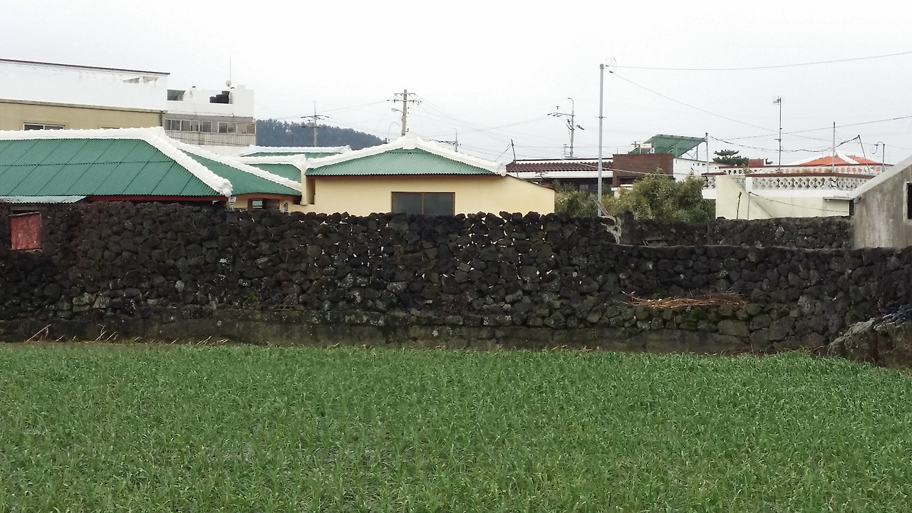 20141206_141846_구좌읍.jpg