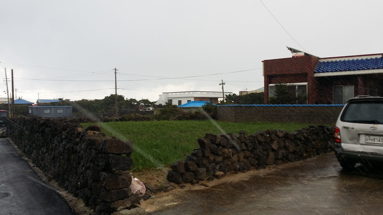 20141213_133817_구좌읍.jpg